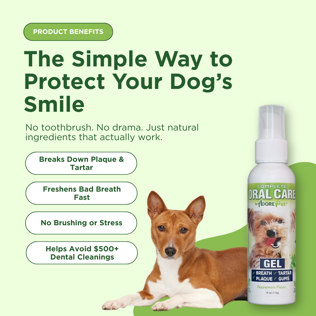 Peppermint Dental Gel for Dogs — No-Brush Plaque & Bad Breath Solution